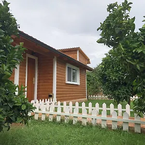  Holiday home The Mussel House
